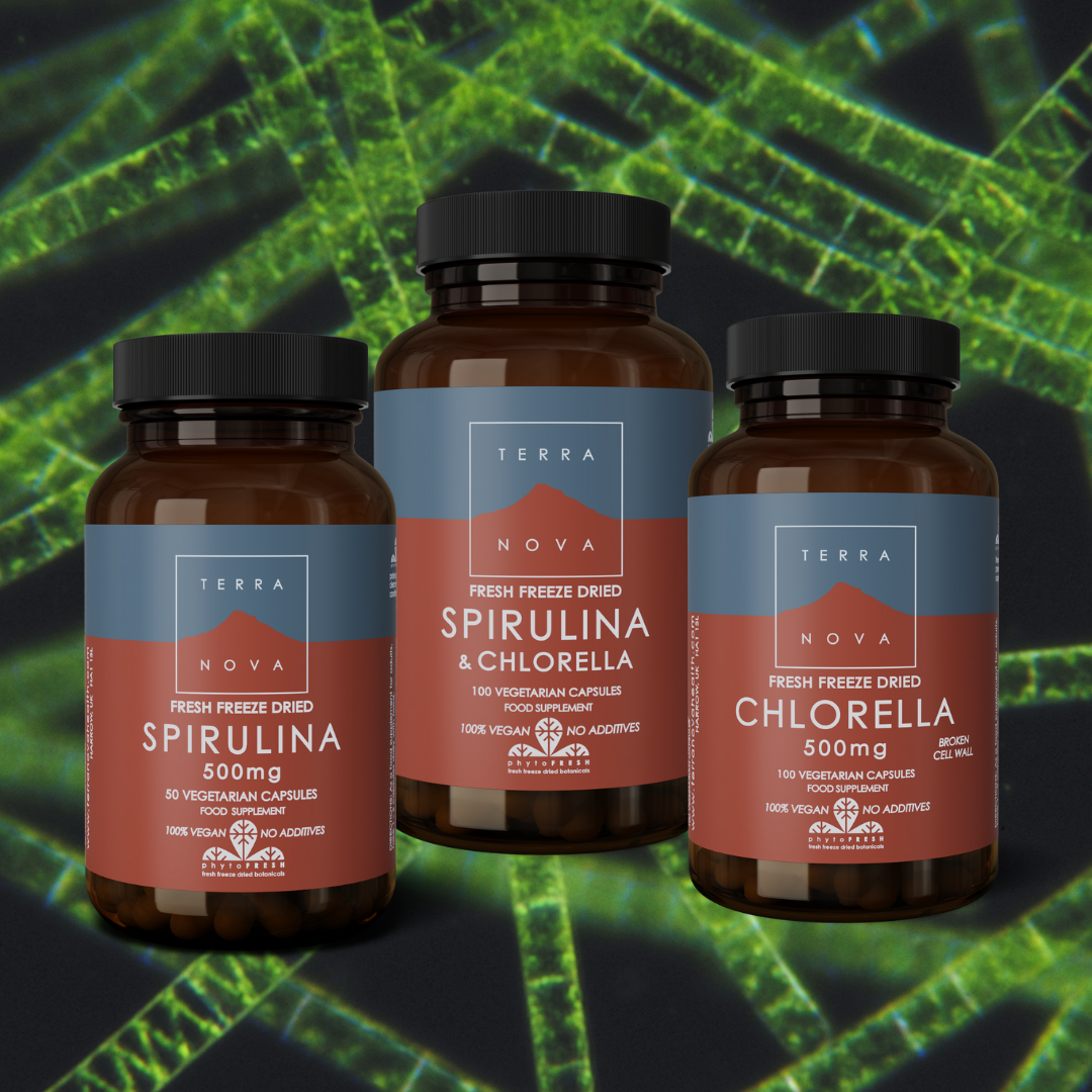 The Secrets of Spirulina & Chlorella TERRANOVA